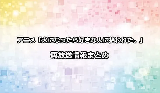 アニメ「犬になったら好きな人に拾われた。」の再放送