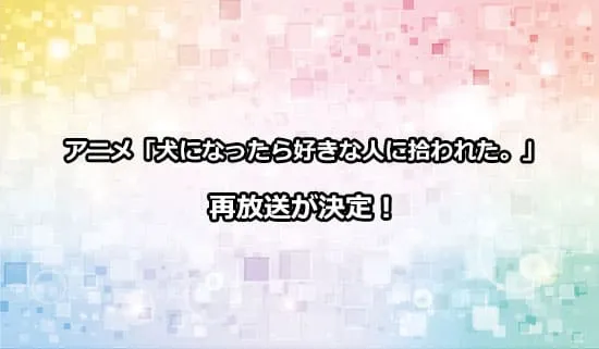 アニメ「犬になったら好きな人に拾われた。」の再放送が決定！