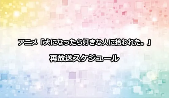 アニメ「犬になったら好きな人に拾われた。」の再放送スケジュール