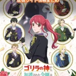 【ゴリラの神から加護された】配信サイト情報まとめ!無料で視聴する方法はある?