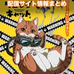 【ニャイト・オブ・ザ・リビングキャット】配信サイトはどこ?無料で視聴する方法はある?