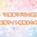 【大賢者リドルの時間逆行】アニメ配信サイトはどこ?無料で視聴する方法はある?